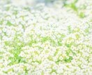 45分の変化を感じやすい 本命 コースで整えます 量子エネルギーヒーリングで深層にアプローチ イメージ1
