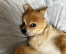 秘密厳守でどんな内容の話も寄り添います 悩みががあるときは通話で安心しませんか？⭐️ イメージ1