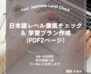 日本語レベルチェック＆学習プラン作成します あなたの日本語力を分析し、最適プランを丁寧に作成します イメージ1