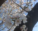 おばあちゃん世代です！悩みや愚痴、何でも聞きます １分〜　気に入らない時は即切りOK！ イメージ1