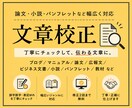 あなたの伝えたい情報が伝わる文章に仕上げます 元大学教員が作文スキルや観察力を活かして校正します イメージ1