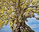 人物画、風景画を描きます 和風テイスト、色合いが得意です。 イメージ8