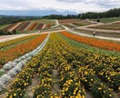 お二人のための国内旅行プラン！作成します お二人にぴったりの旅行プランをご提案します！！ イメージ1