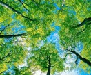 どんな些細なことでも相談・会話受け付けております 若者や現役大学生ととにかくお話したい！1時間みっちりと！！ イメージ1