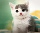 人生いろいろ〜♪ありますよね！！！話聞きます 愚痴★悩み★相談事など、なんでも聞きます！！！ イメージ2