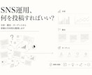 SNS運用の戦略と投稿設計を作ります 分析から7日分の投稿・台本まで丸ごと設計 イメージ3