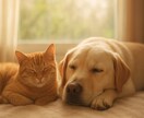 ペットロスでつらい方へ｜動物看護師がお話を伺います ペットロス経験者として3日間優しく気持ちに寄り添います。 イメージ3