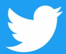 30日間Twitterアカウントを拡散します Twitterで集客したいあなたへ イメージ1