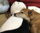 行き場のない気持ちを承ります 溜め込んでるものがあれば、話してみませんか？ イメージ2