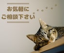 アワード受賞経験者が覆面宿泊！改善点レポートします 宿の魅力を最大化しませんか？クチコミ点数UPしたい方へ イメージ7