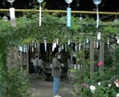 5分でも…どんなことでもお話聞きます 話したいけど知り合いには話せない。話し足りない人に イメージ1