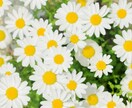 今すぐ聞いて欲しい★を傾聴しまるごと共感します お試し１分/批判・否定無/雑談/愚痴/話し相手/泣きたい/他 イメージ5