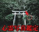 写真一枚で霊視｜完全サポートします 古神道×波動。その怖い写真もう大丈夫。 イメージ1