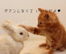 誰にも言えない悩み聞きます あなたが日頃我慢している悩み事、私に全て吐き出して下さい♪ イメージ1