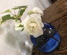 悩み相談受け付けます 自分嫌いを克服したメイクセラピストがサポートします。 イメージ1