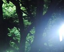 まだ無職なので早く作れます落ち着いた曲が得意ます 得意ってだけで他でもイメージには合わせられます。 イメージ11