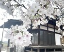 お話相手 相談 心の浄化なんでも行います 性別のことで 悩んでいる方も お気軽に是非 どうぞ イメージ2