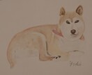 動物の似顔絵描きます シンプルで優しいペットの似顔絵描きます イメージ3