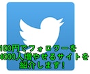 【twitter】100円でフォロワー4000人増やせるサイトを紹介します！【ツイッター】 イメージ1