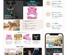 売れるAmazon商品画像を制作しますます 日本市場向けの商品画像を制作します イメージ5