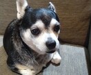 誰にも言えない悩みごとや愚痴を聞きます モヤモヤが残る愚痴を話して、スッキリしませんか？ イメージ1