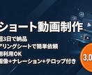 ショート動画を制作します ヒアリングシートで簡単依頼！AI動画制作 イメージ2