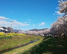 風景写真に桜吹雪を追加します 写真編集歴3年｜特別な1枚を作ります！ イメージ2