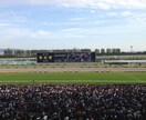 一口馬主での各馬の実際の回収率をお教えします 一口馬主歴6年で、約50頭に出資した情報を公開します。 イメージ1