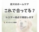 やりすぎ？足りない？犬のケアを整理します トリマーの視点で、今の状態を整理します イメージ1