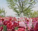 あなたの写真に絵を添えて、心温まる作品にします 思い出の写真を心温まる作品に、贈り物や待ち受け画像にも イメージ10