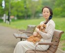 ペットの飼主さんを全力でサポートします ペットを亡くした喪失感、後悔、辛い気持ちお話ください。 イメージ1