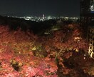 京都案内いたします 〜英中韓など外国語でも可能です！ イメージ5