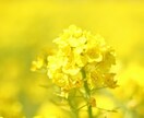 お仕事をはじめとする日々のお悩み伺います ホッとする居場所になりたい(*^^*) イメージ5