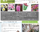 高品位なチラシなどの印刷物全般デザインいたします デザイン経験豊富なデザイナーが格安価格でご提供します。 イメージ6