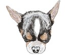 あなただけのペットの絵を描きます ペットの魅力を形に残すお手伝いをさせてください。 イメージ3