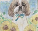 愛犬の似顔絵心を込めて描きます ふんわりタッチでA4サイズフルカラー水彩色鉛筆で描きます イメージ3