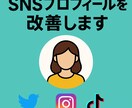 SNSプロフィールを「仕事が来る文章」に改善します 現役インフルエンサーが即対応／即納品 イメージ1
