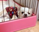とりあえず聞いてほしい内容から深刻な悩み聞きます どんなジャンルでもOKです。短時間でも対応致します。 イメージ1