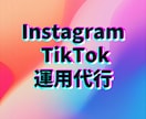 インスタ、TikTok運用代行承ります 企画、編集、投稿まで全て丸投げOK!! イメージ1