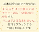 30分離婚相談チャット♦️離婚マニュアルあります 弁護士依頼なしで離婚調停、強制執行に勝訴した経験者です イメージ2