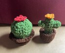 オリジナルあみぐるみ作製いたします イラストや写真を元に完全オーダーメイドのあみぐるみを作ります イメージ7