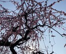 お話うかがいます 知り合いに話しにくい事などお話伺います！ イメージ2
