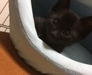 知らない人だから話せる事、あると思います とにかく誰かに聞いてほしい。そんなご相談お伺います！ イメージ1