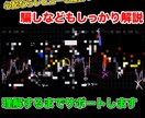 バイナリーやFXあなたの資金管理をサポートします 【鬼コンサルティング】プロがトレーダを徹底的に育成します！ イメージ5