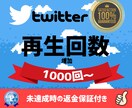ツイッター動画＋１０００再生数増やします ⭐️即日対応！１０００円でTwitter再生回数＋１０００回 イメージ1