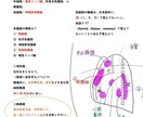 医学部卒が医療系、生物系大学院の試験対策します 医療系学部の基礎医学、定期テスト、大学院、国試対策を致します イメージ3