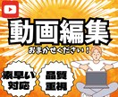 最短2日納品！YouTube等の動画編集します ご要望に応じた丁寧な編集と迅速な対応を心掛けます！ イメージ1