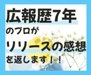広報歴7年！プロがプレスリリースの感想を返します 権利侵害・炎上回避などリスク管理のアドバイスも！ イメージ1