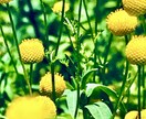 シータヒーリング®︎で思い込みを「かきかえ」ます 各種「浄化」及びビデオチャット対応✨ イメージ10