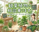 大学生が教える、観葉植物の育て方選び方教えます 観葉植物を中心に大学生の部屋の環境で枯らさないコツを伝えます イメージ1